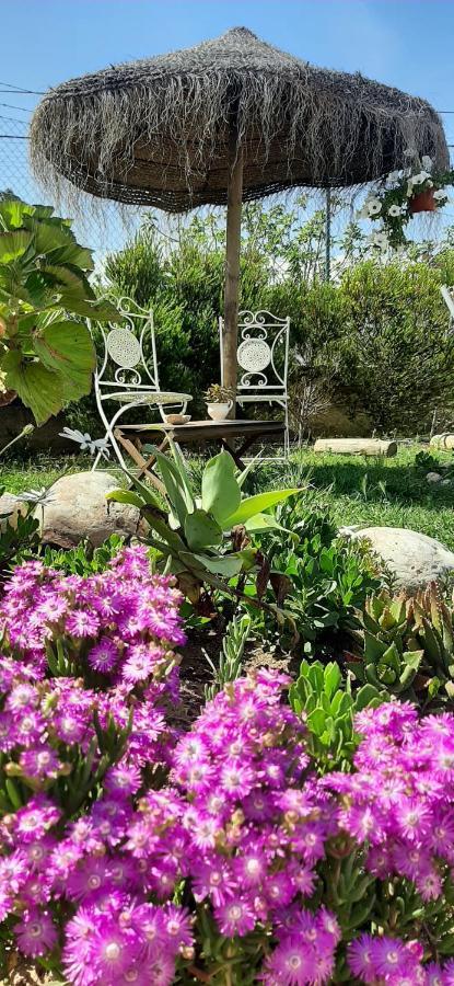 Blacksheep Sagres Guesthouse & Surf Екстериор снимка