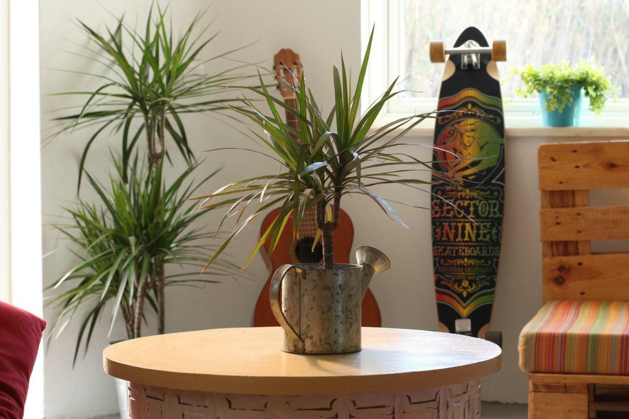 Blacksheep Sagres Guesthouse & Surf Екстериор снимка